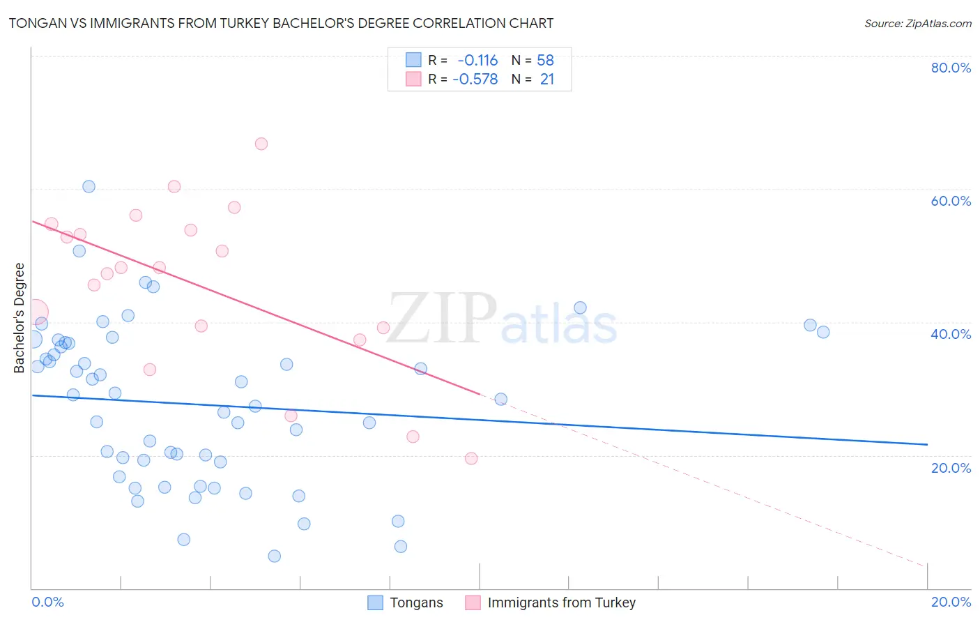 Tongan vs Immigrants from Turkey Bachelor's Degree