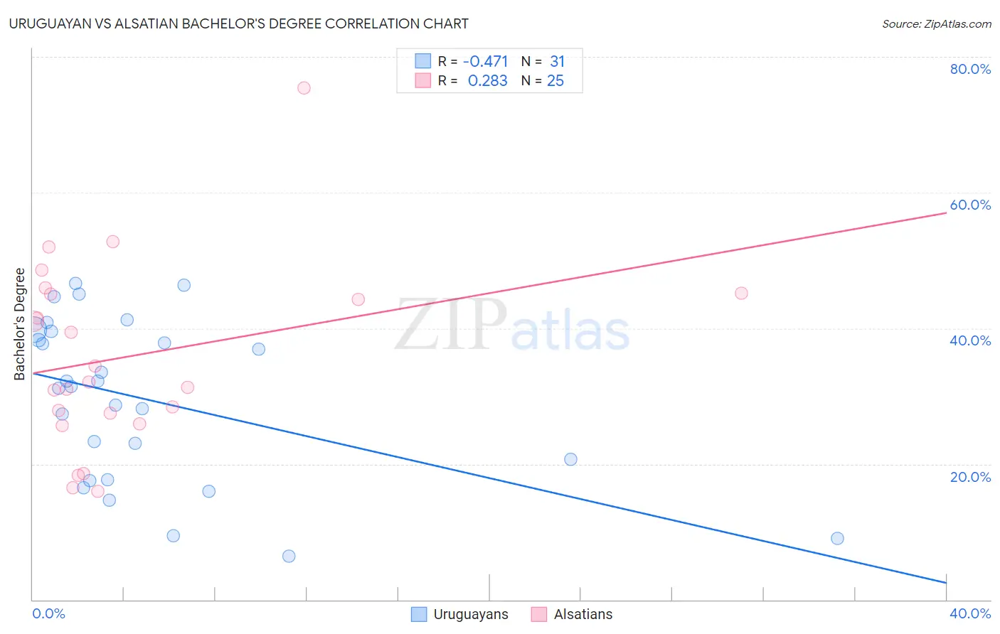 Uruguayan vs Alsatian Bachelor's Degree