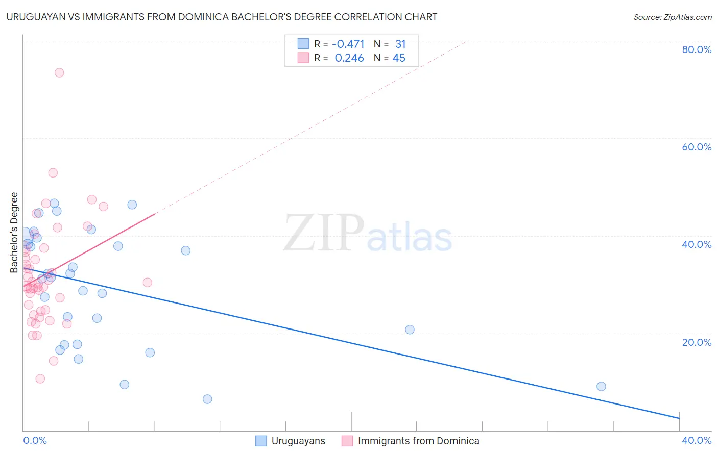 Uruguayan vs Immigrants from Dominica Bachelor's Degree