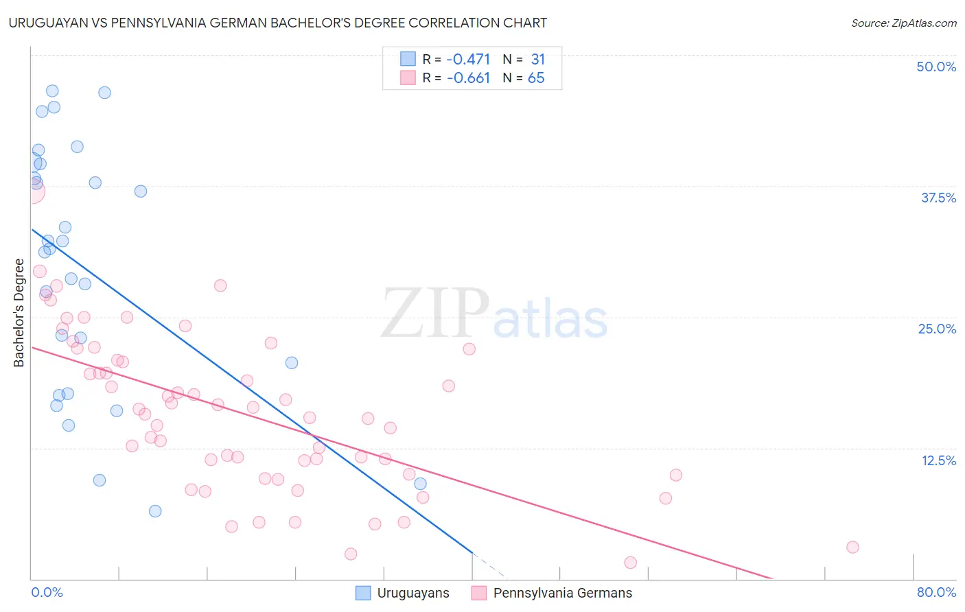 Uruguayan vs Pennsylvania German Bachelor's Degree