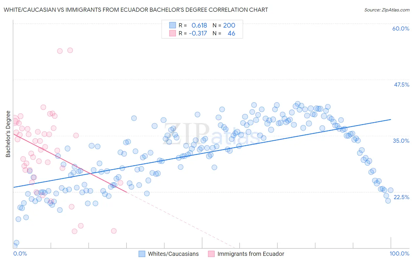 White/Caucasian vs Immigrants from Ecuador Bachelor's Degree