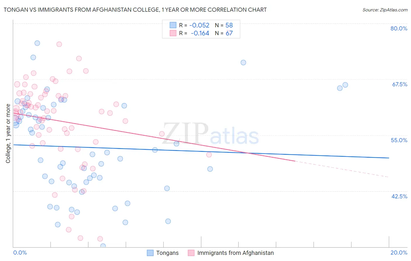 Tongan vs Immigrants from Afghanistan College, 1 year or more