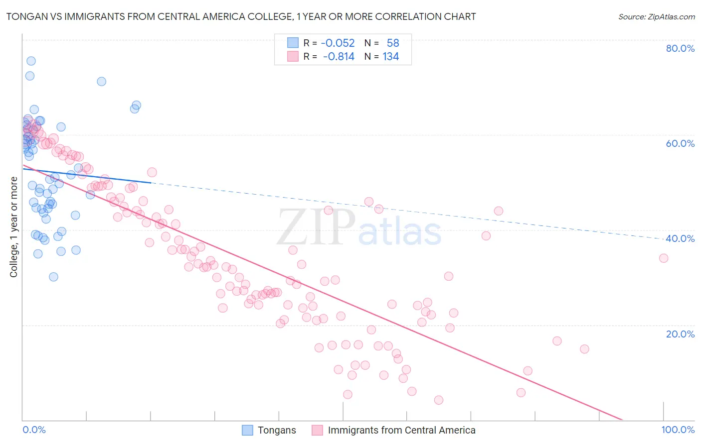 Tongan vs Immigrants from Central America College, 1 year or more