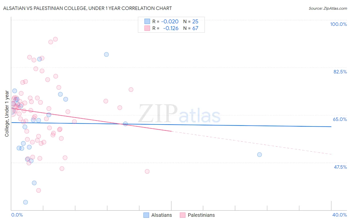 Alsatian vs Palestinian College, Under 1 year