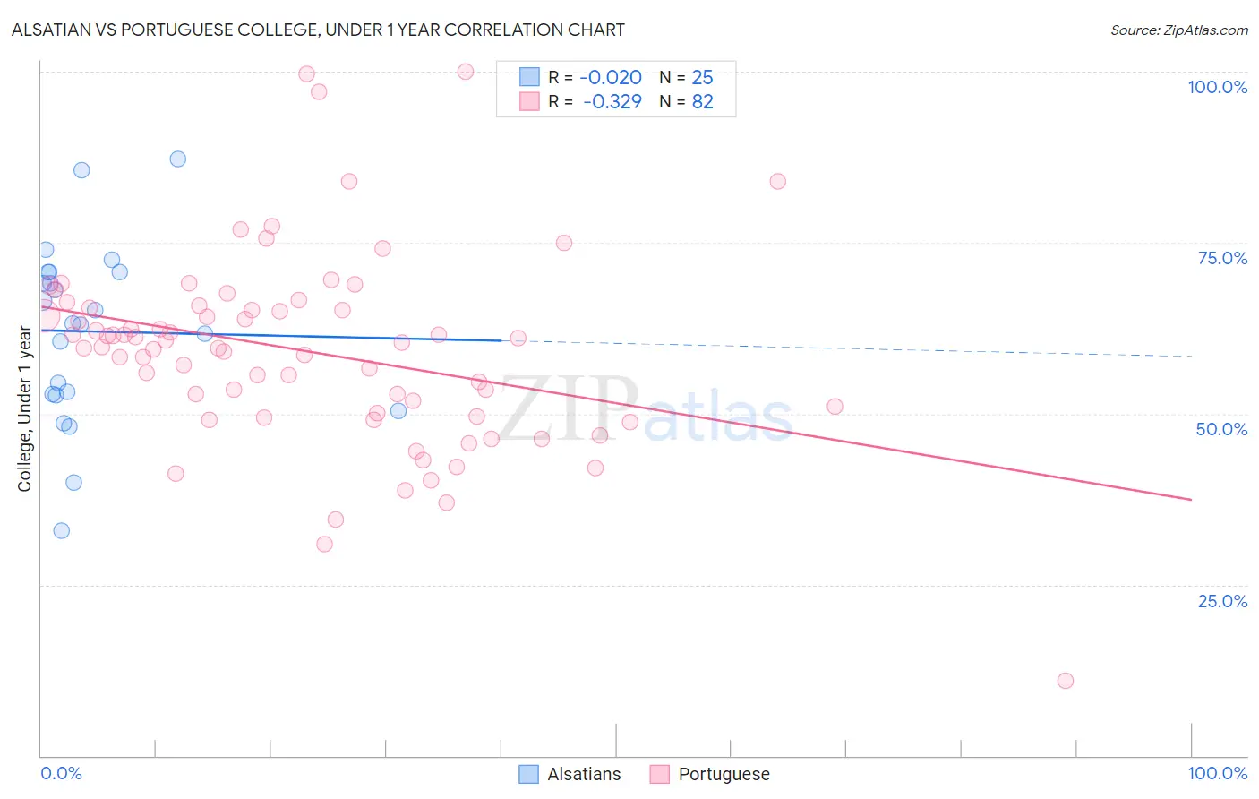 Alsatian vs Portuguese College, Under 1 year