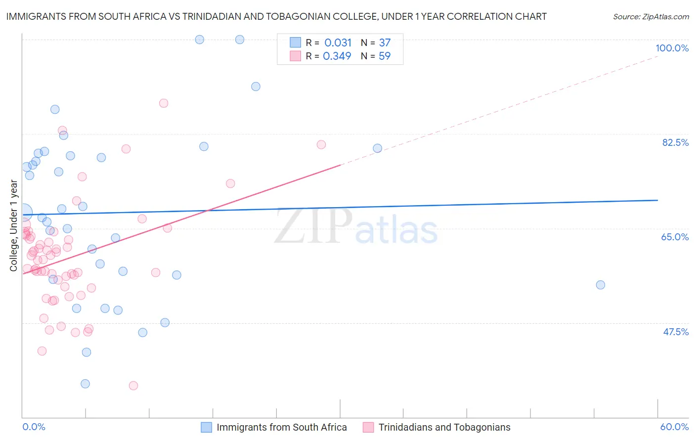 Immigrants from South Africa vs Trinidadian and Tobagonian College, Under 1 year