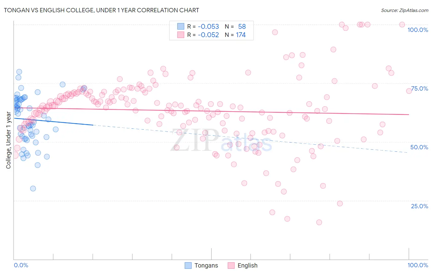 Tongan vs English College, Under 1 year