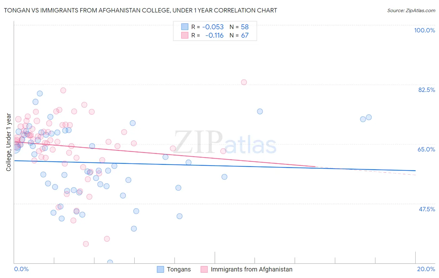 Tongan vs Immigrants from Afghanistan College, Under 1 year