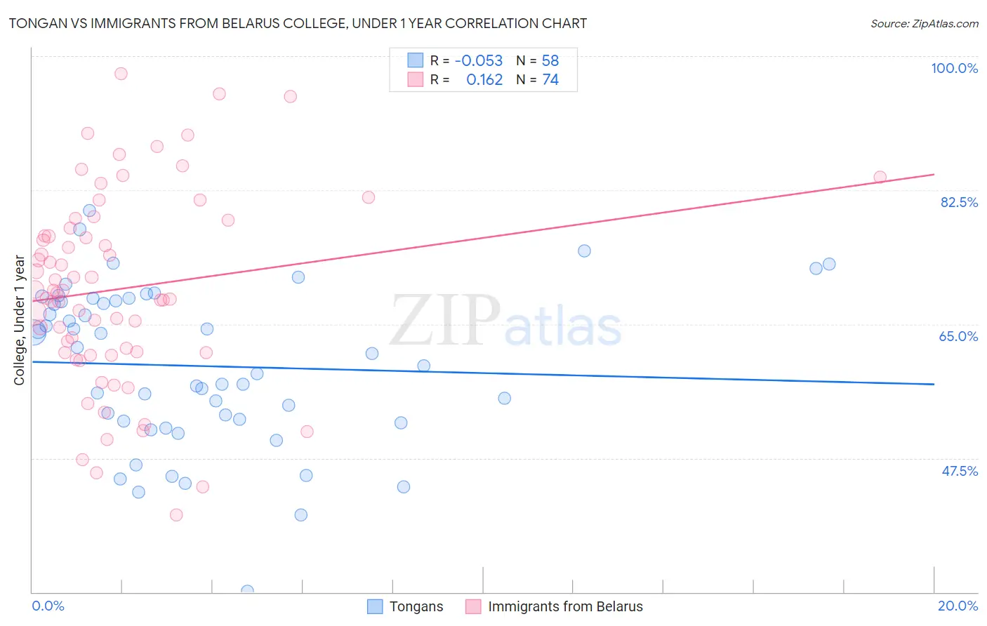 Tongan vs Immigrants from Belarus College, Under 1 year