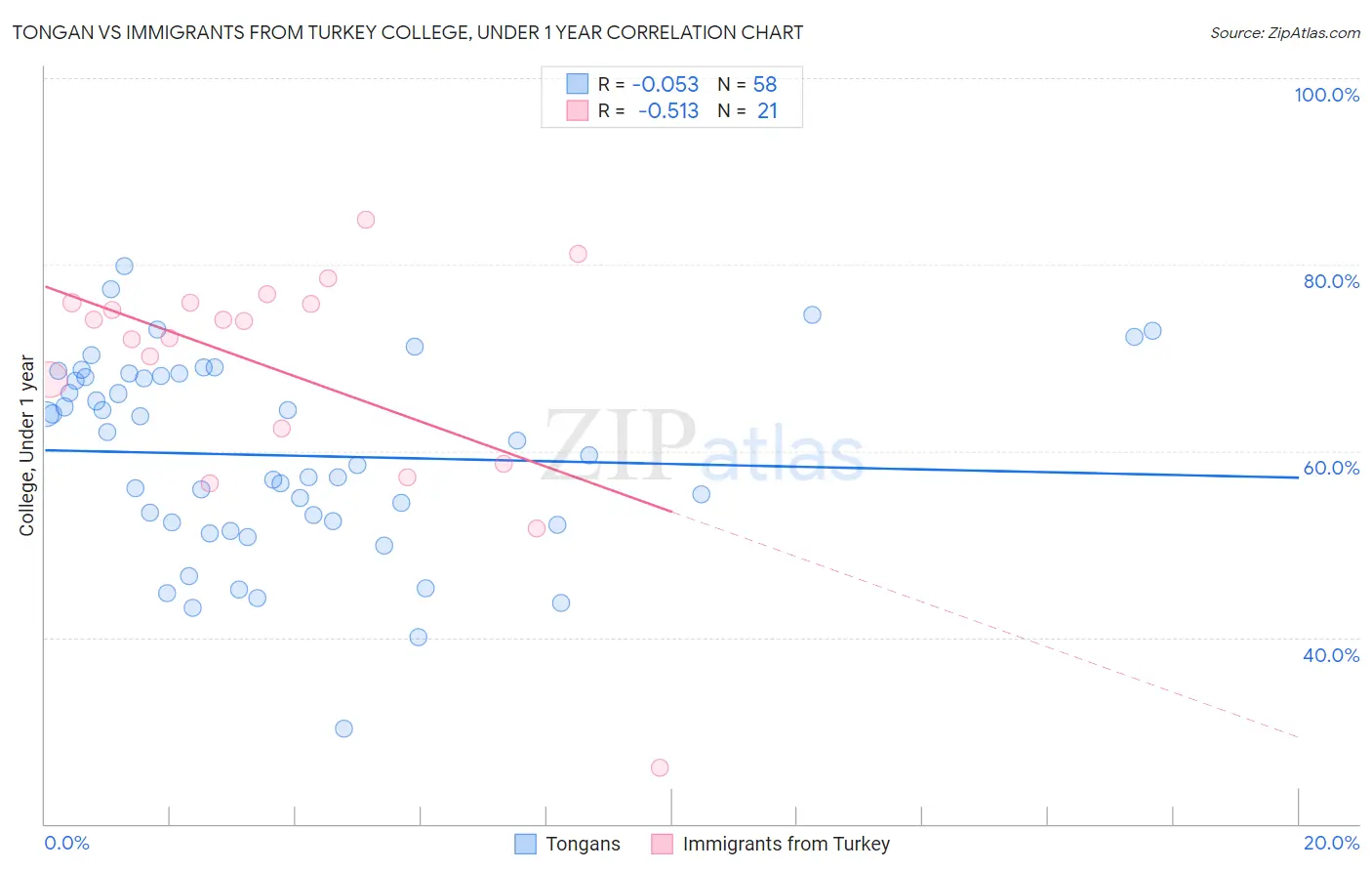 Tongan vs Immigrants from Turkey College, Under 1 year