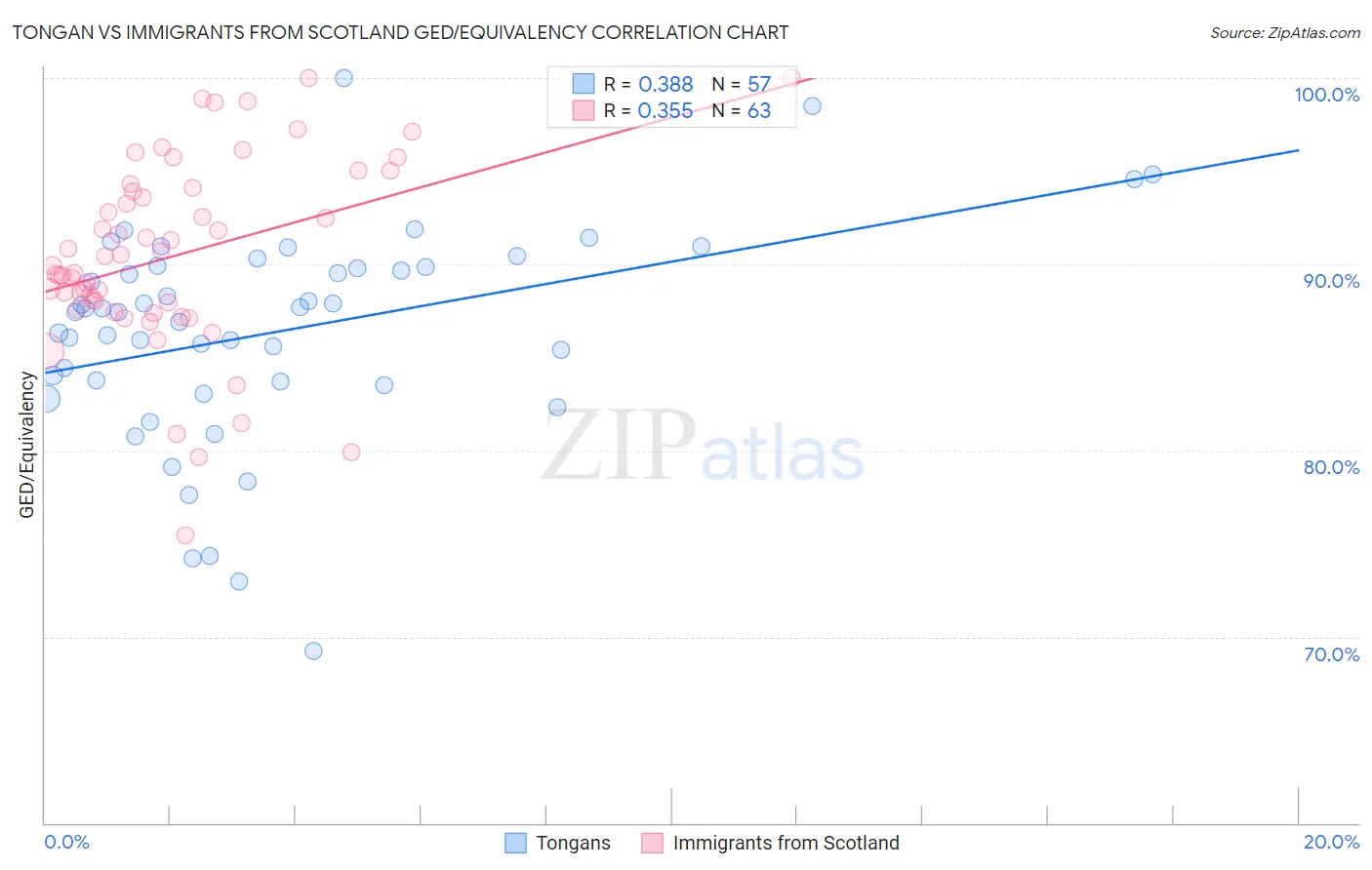 Tongan vs Immigrants from Scotland GED/Equivalency