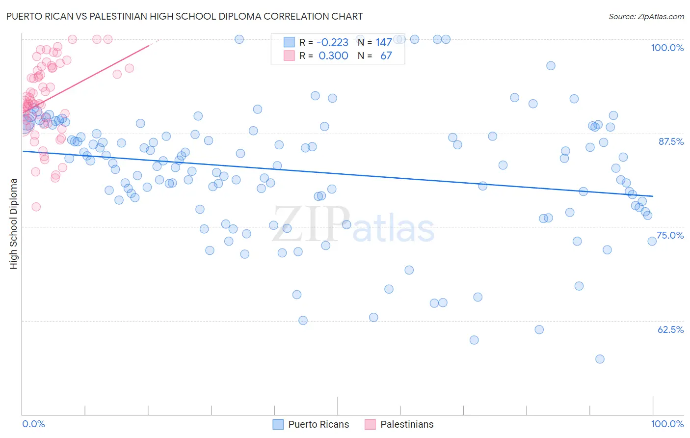 Puerto Rican vs Palestinian High School Diploma