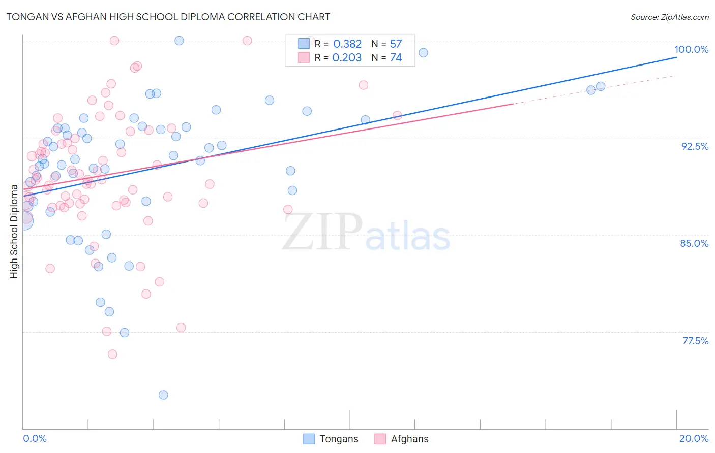 Tongan vs Afghan High School Diploma