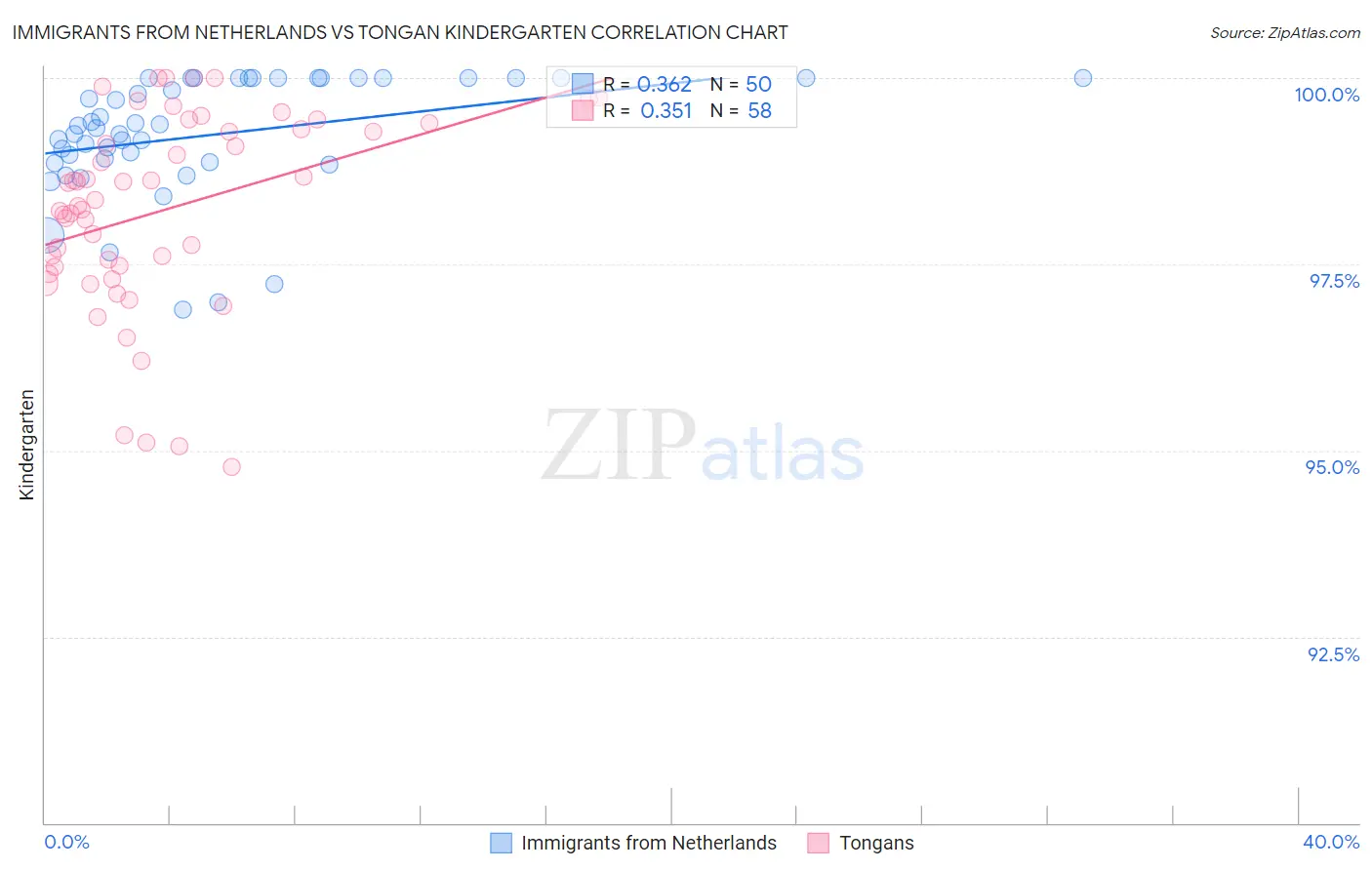 Immigrants from Netherlands vs Tongan Kindergarten