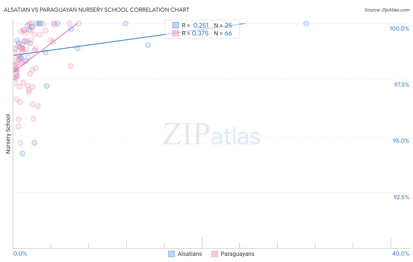 Alsatian vs Paraguayan Nursery School