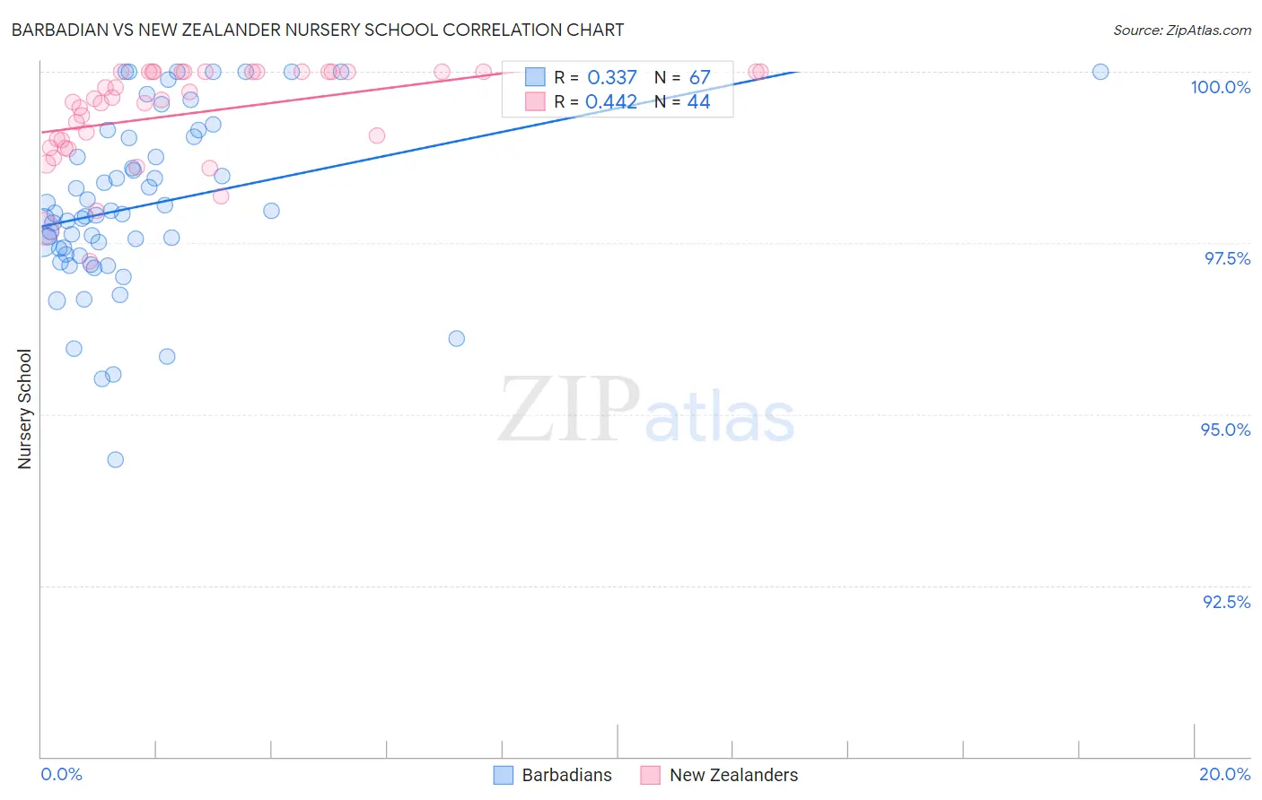 Barbadian vs New Zealander Nursery School