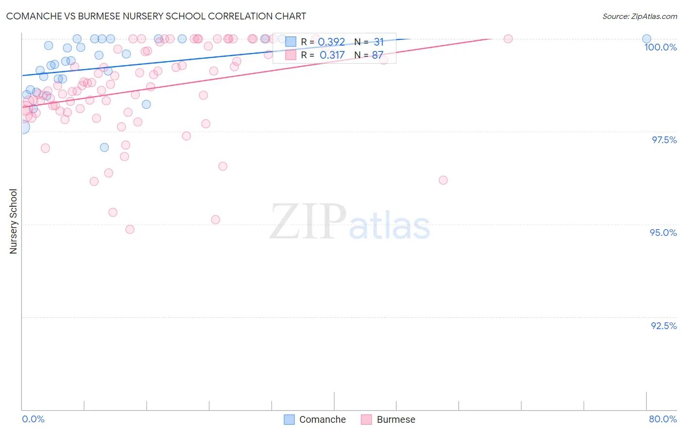 Comanche vs Burmese Nursery School