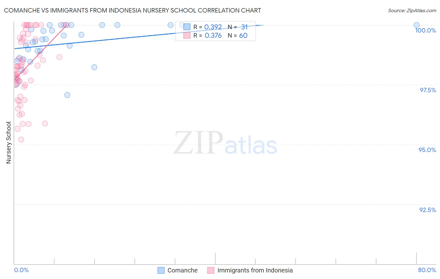 Comanche vs Immigrants from Indonesia Nursery School