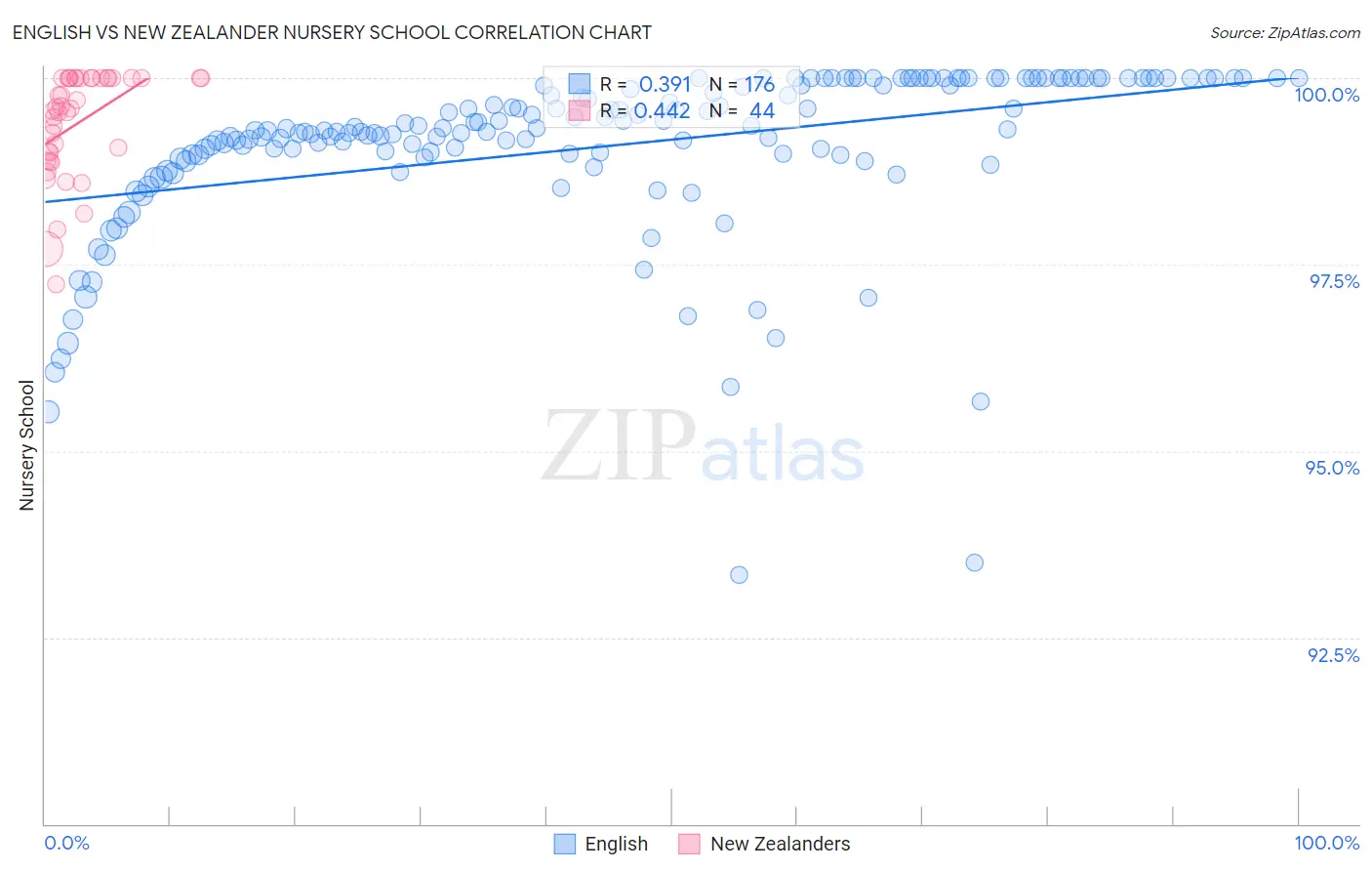 English vs New Zealander Nursery School