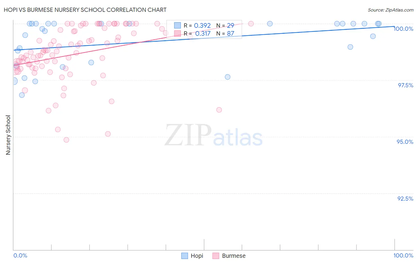 Hopi vs Burmese Nursery School