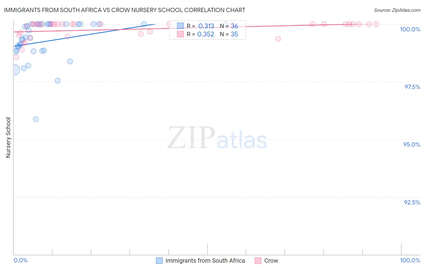 Immigrants from South Africa vs Crow Nursery School