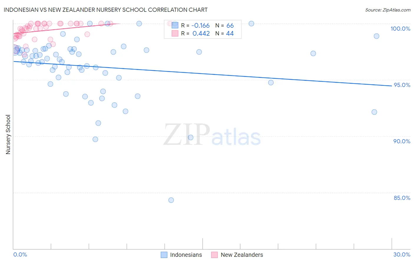 Indonesian vs New Zealander Nursery School