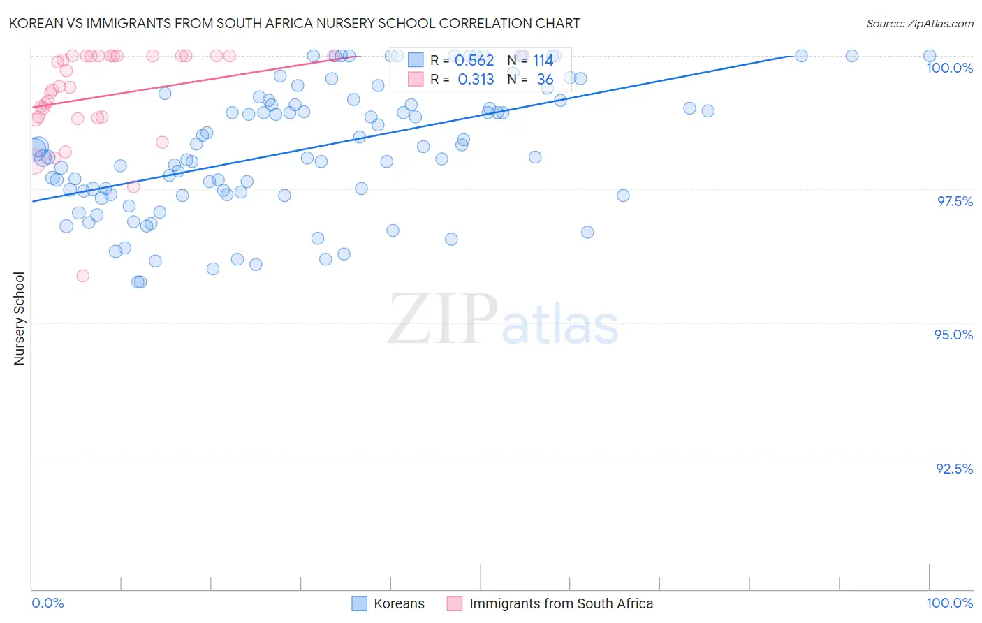 Korean vs Immigrants from South Africa Nursery School