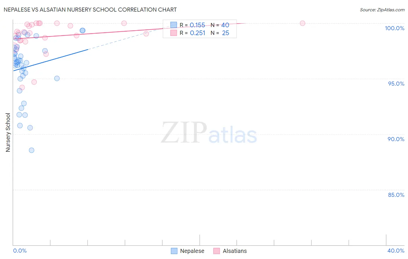 Nepalese vs Alsatian Nursery School