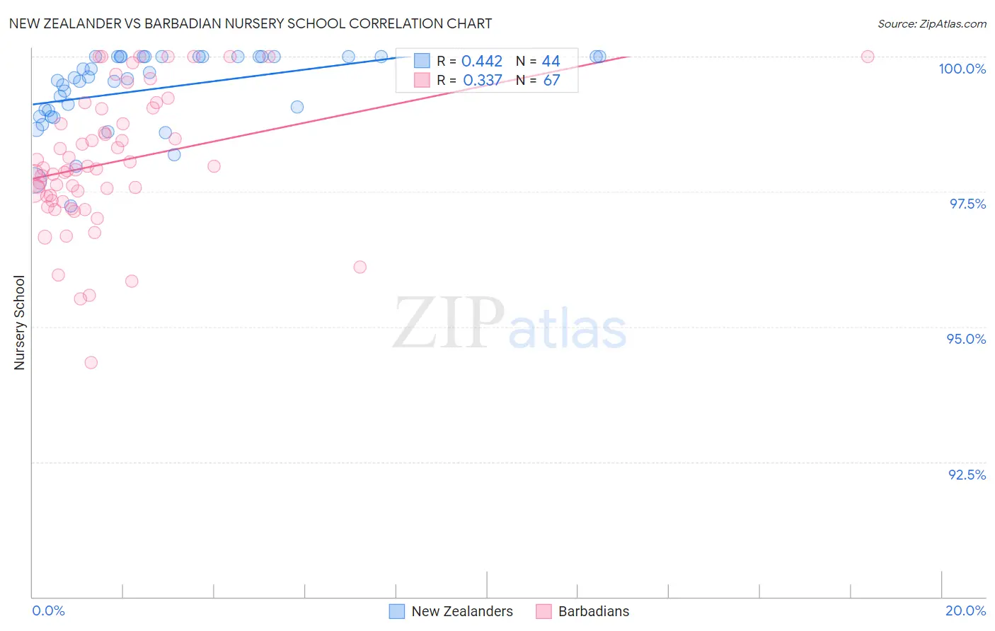 New Zealander vs Barbadian Nursery School