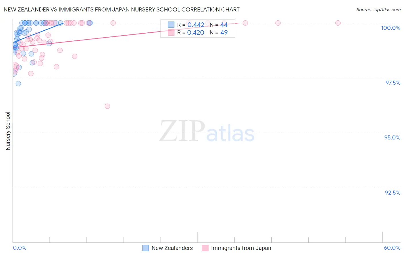 New Zealander vs Immigrants from Japan Nursery School