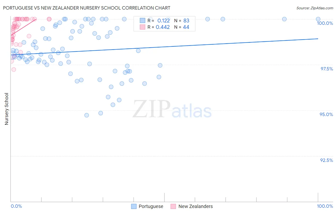 Portuguese vs New Zealander Nursery School