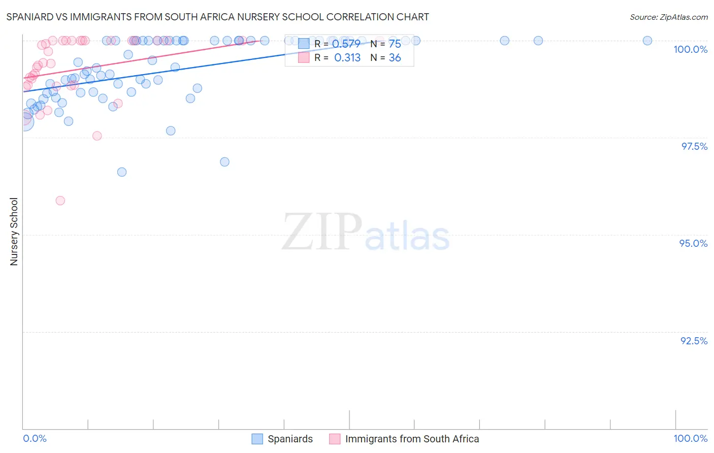 Spaniard vs Immigrants from South Africa Nursery School