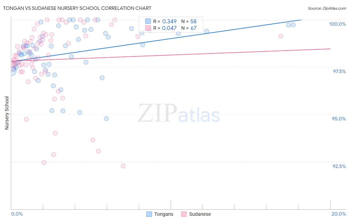 Tongan vs Sudanese Nursery School