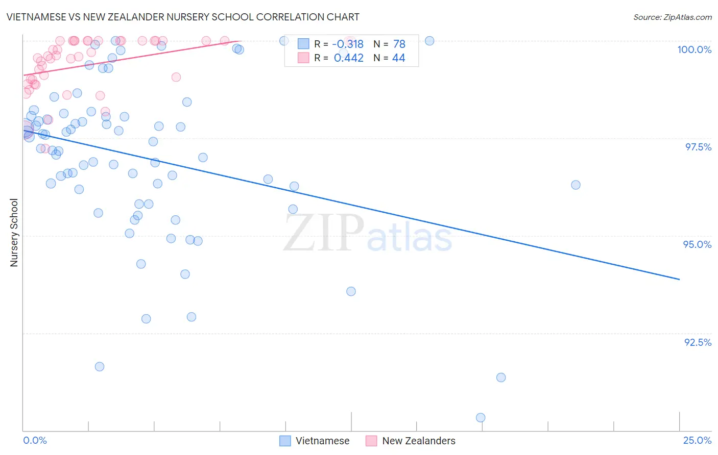 Vietnamese vs New Zealander Nursery School