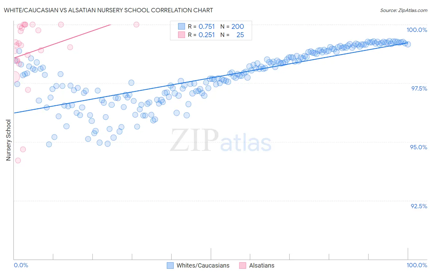 White/Caucasian vs Alsatian Nursery School