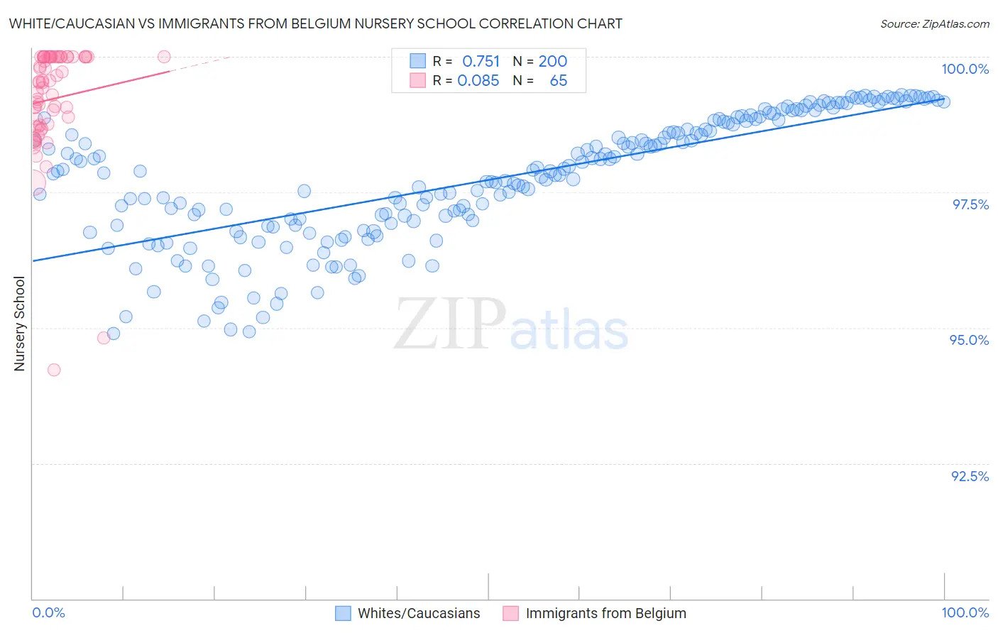 White/Caucasian vs Immigrants from Belgium Nursery School