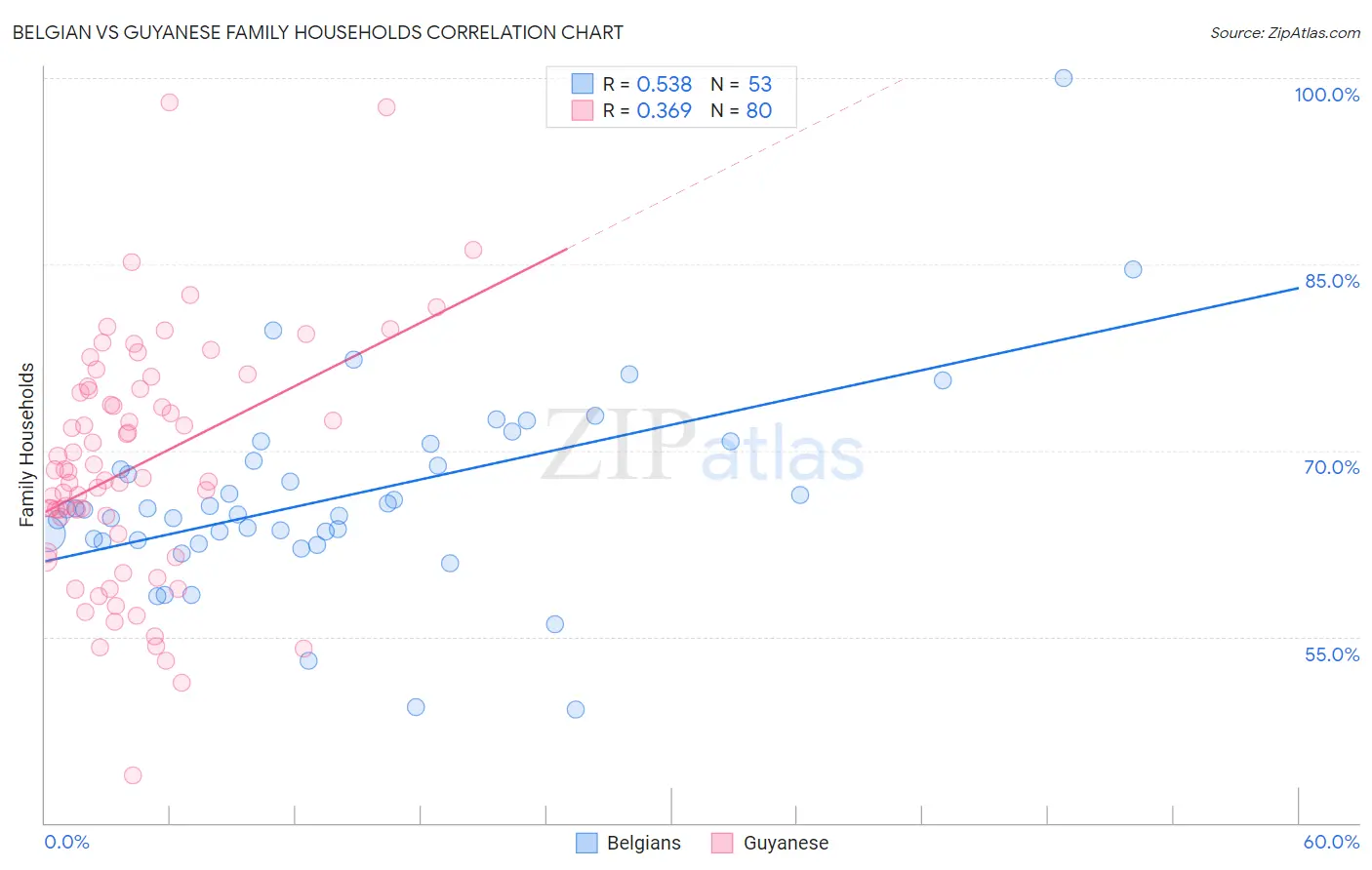 Belgian vs Guyanese Family Households