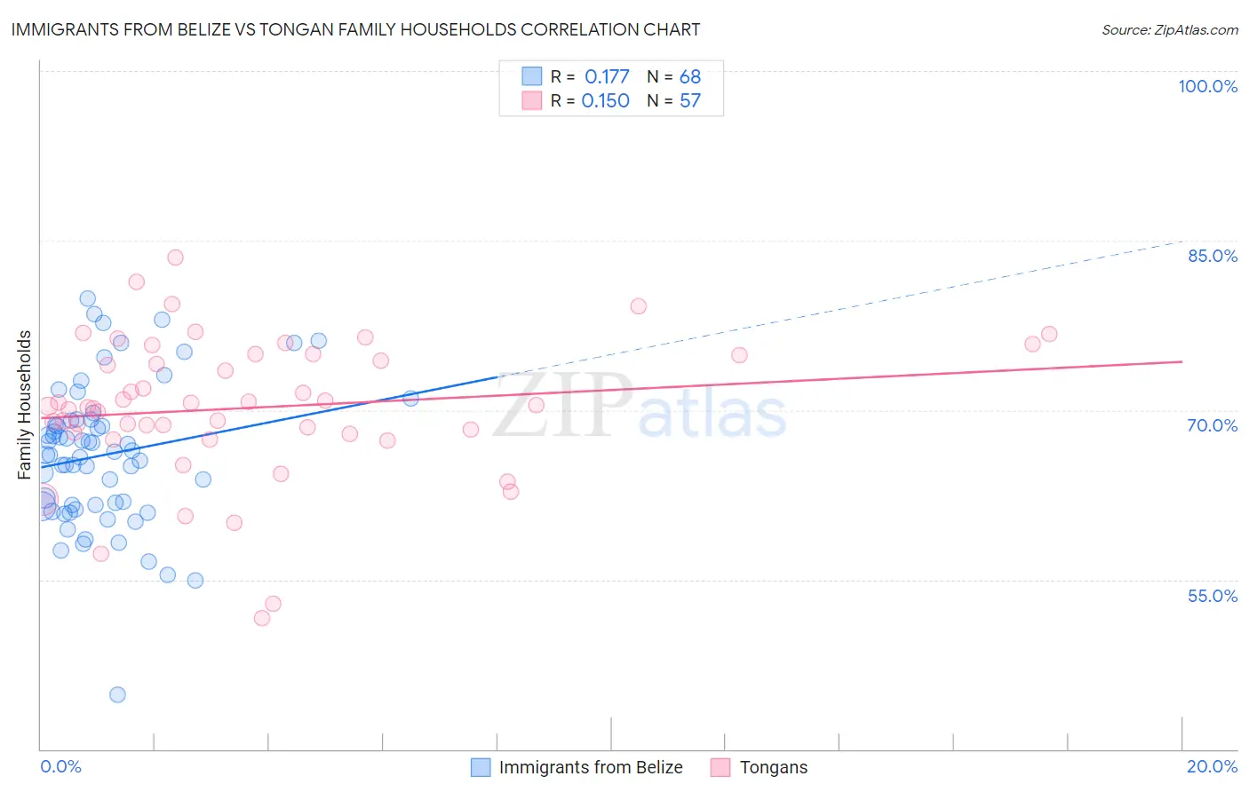 Immigrants from Belize vs Tongan Family Households