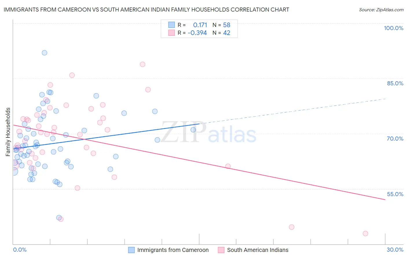 Immigrants from Cameroon vs South American Indian Family Households