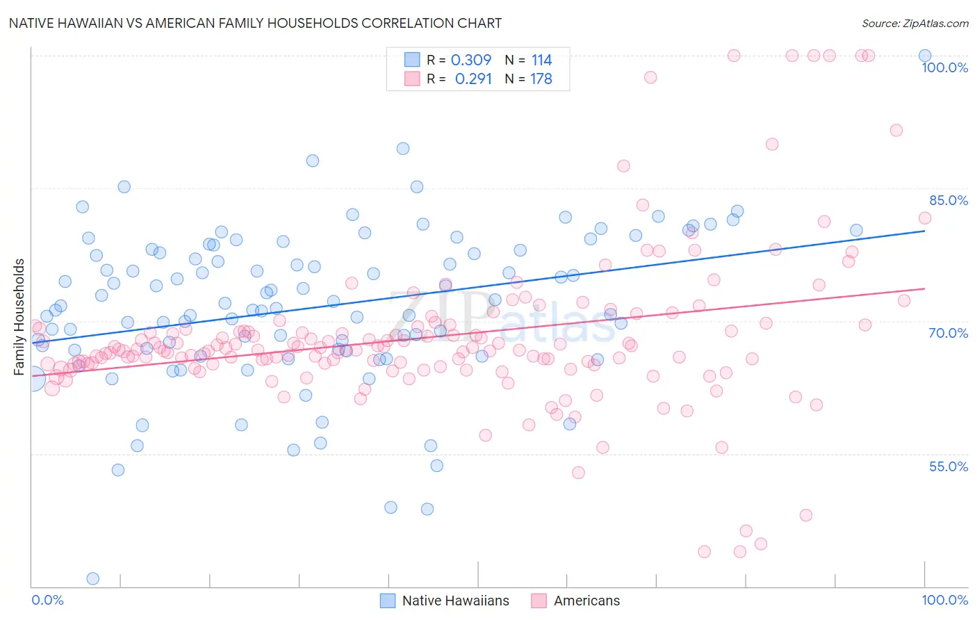 Native Hawaiian vs American Family Households