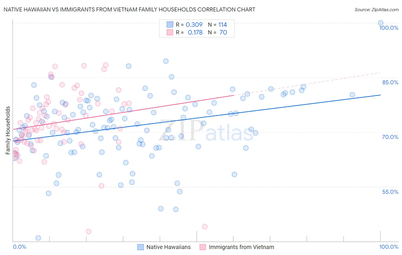 Native Hawaiian vs Immigrants from Vietnam Family Households