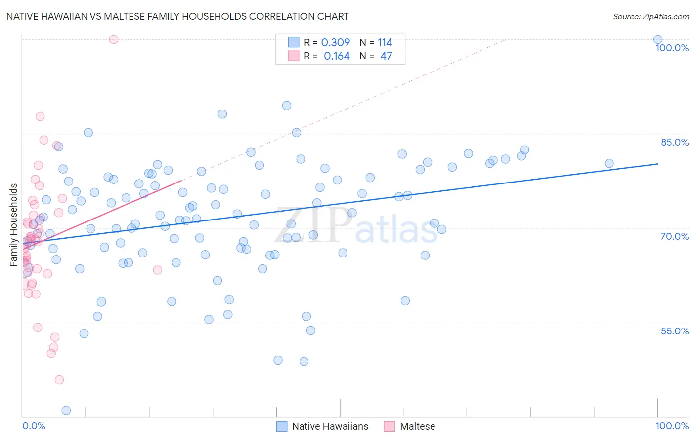 Native Hawaiian vs Maltese Family Households