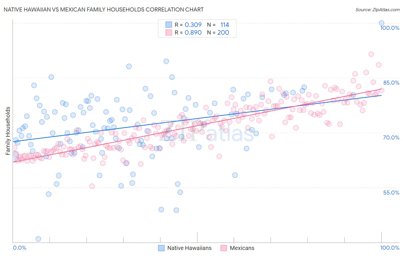 Native Hawaiian vs Mexican Family Households