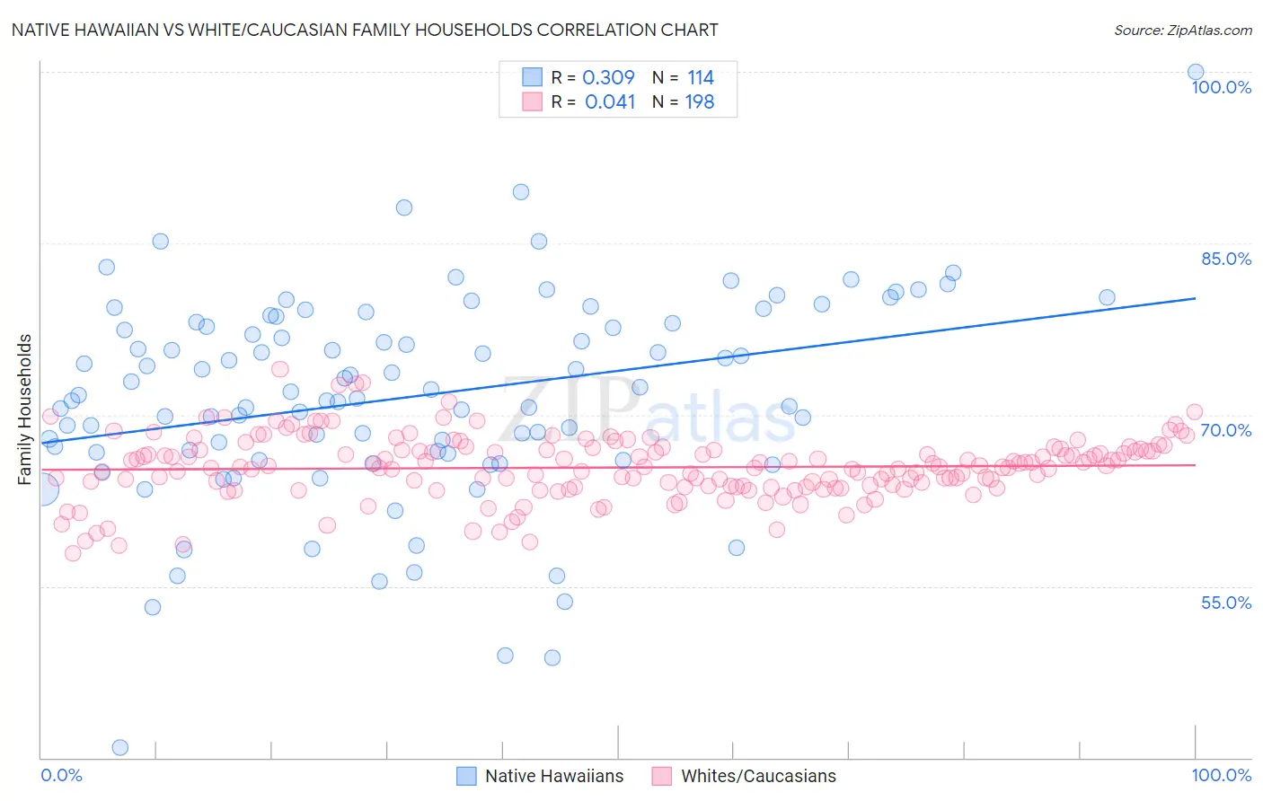 Native Hawaiian vs White/Caucasian Family Households