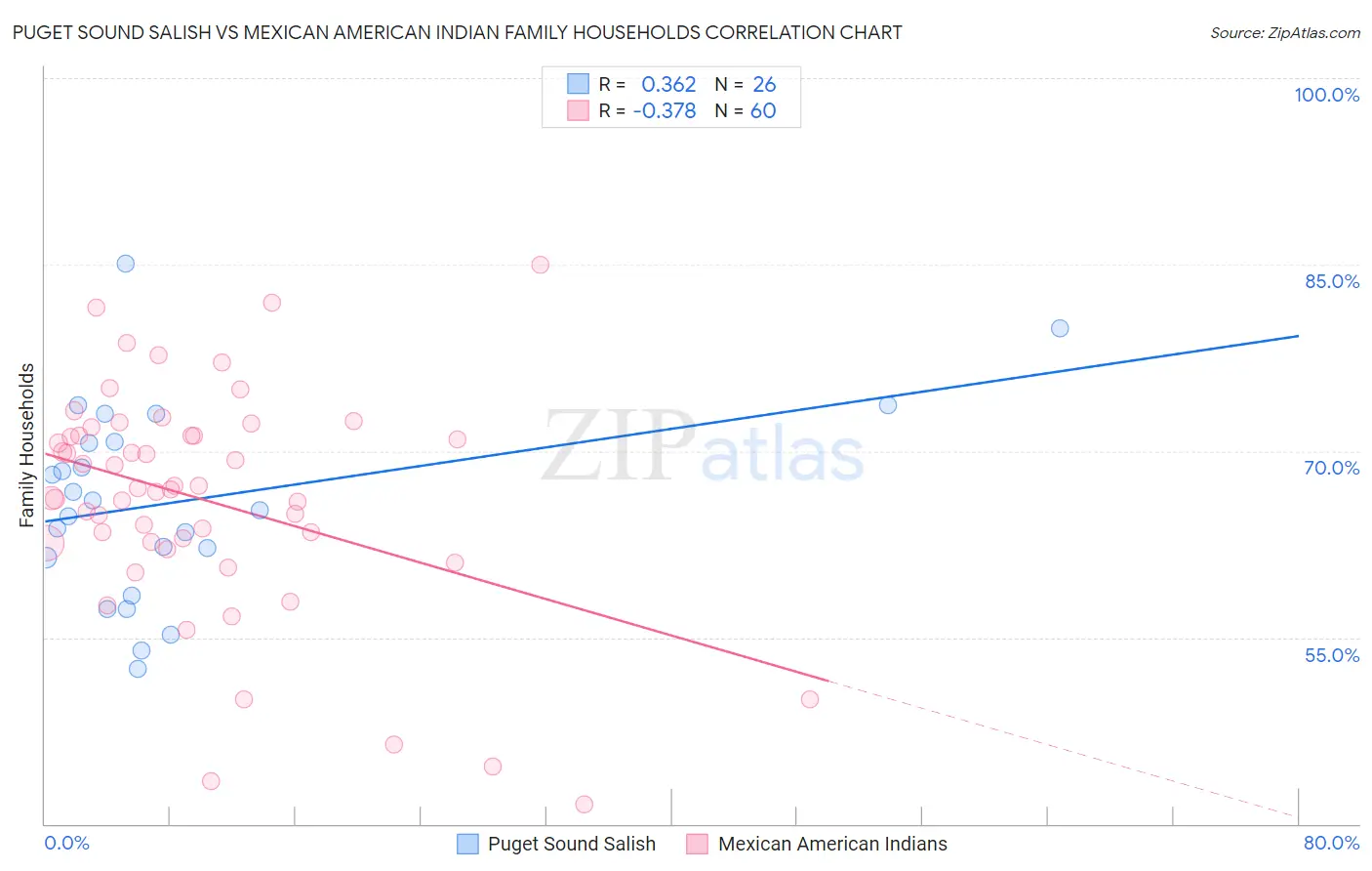 Puget Sound Salish vs Mexican American Indian Family Households