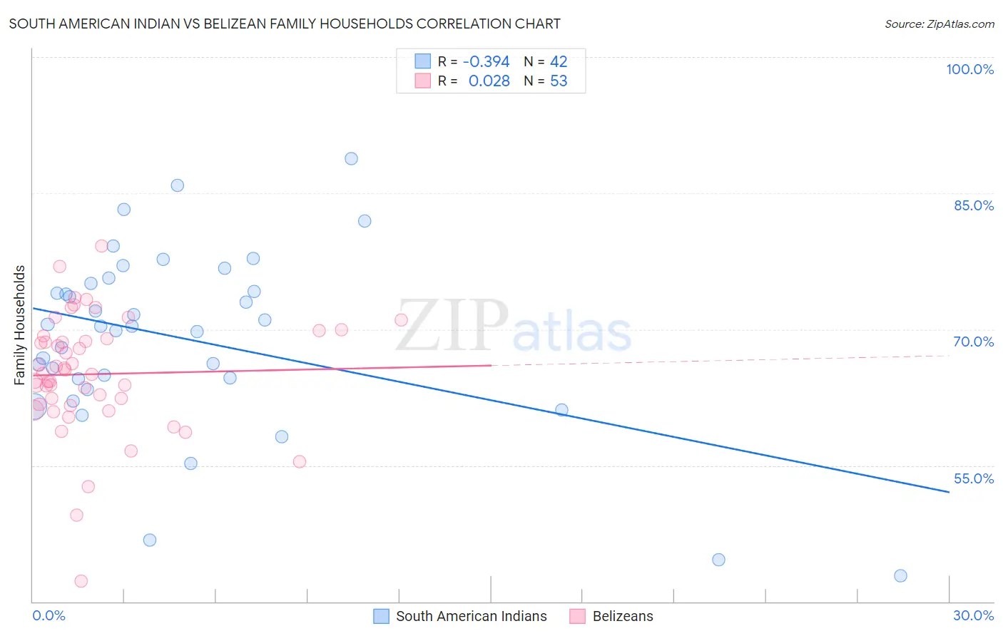 South American Indian vs Belizean Family Households