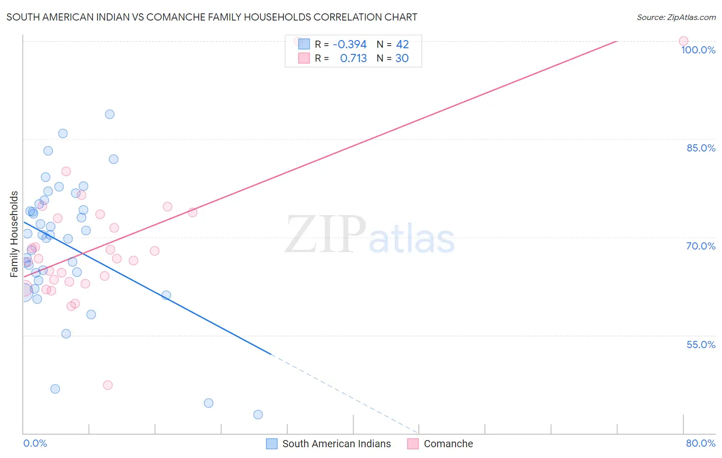 South American Indian vs Comanche Family Households