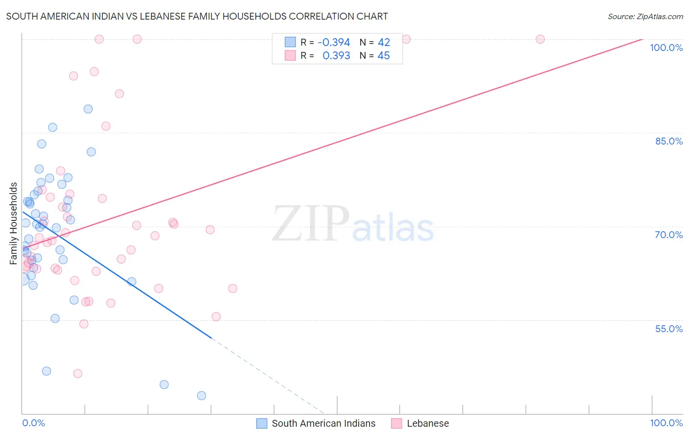 South American Indian vs Lebanese Family Households