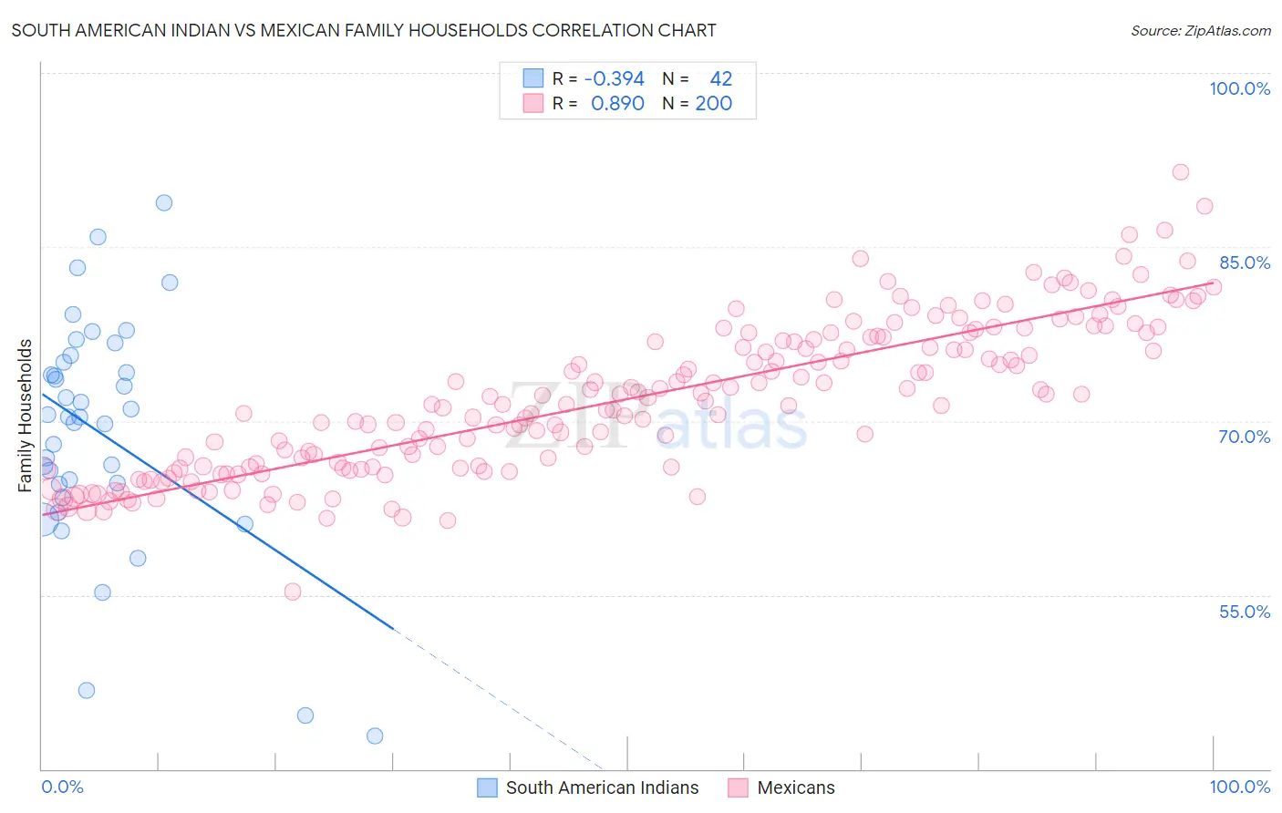 South American Indian vs Mexican Family Households