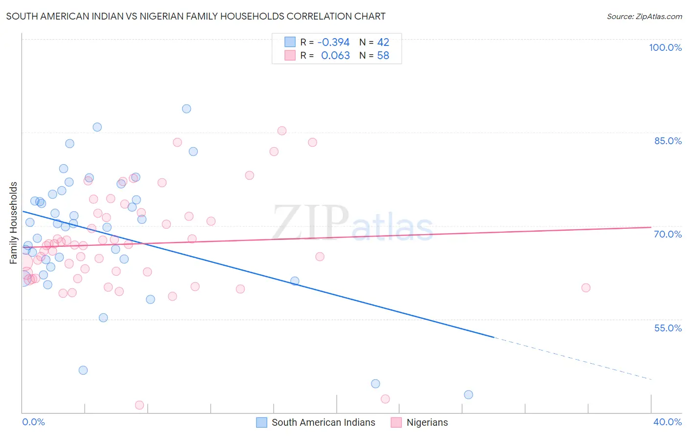 South American Indian vs Nigerian Family Households